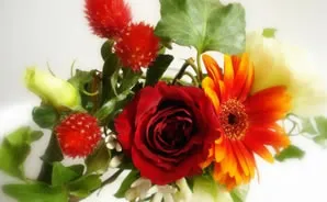 翻訳証明書の発行