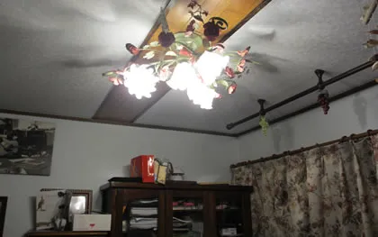 アポスティーユ証明付き公式翻訳